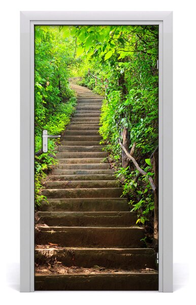 Fototapeta na dvere schody do lesa 95x205 cm