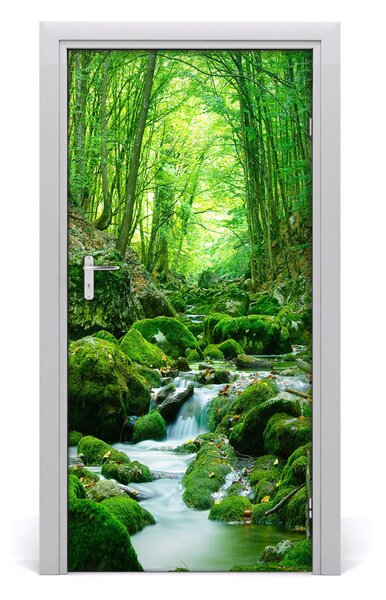 Fototapeta na dvere potok džungle 95x205 cm