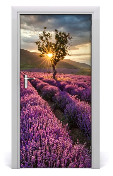 Fototapeta na dvere poľa levanduľa 95x205 cm