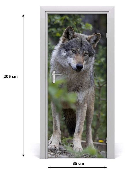 Samolepiace fototapety na dvere Vlk v lese 85x205 cm