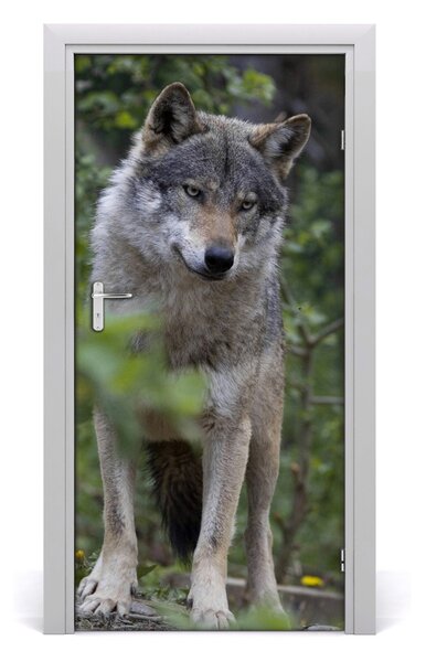 Samolepiace fototapety na dvere Vlk v lese 95x205 cm