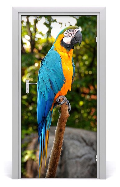 Samolepiace fototapety na dvere papagáj ara 95x205 cm