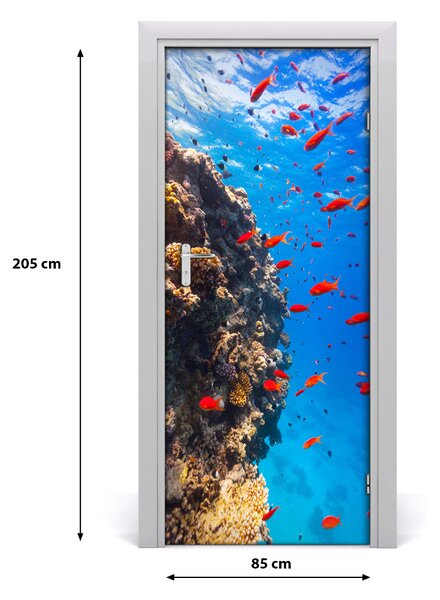 Samolepiace fototapety na dvere koralový útes 85x205 cm