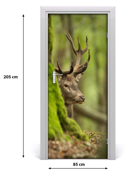 Samolepiace fototapety na dvere jeleň 85x205 cm