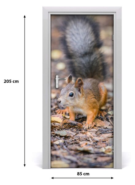 Samolepiace fototapety na dvere Veverička v lezie 85x205 cm