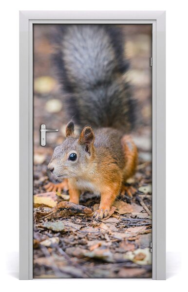 Samolepiace fototapety na dvere Veverička v lezie 95x205 cm