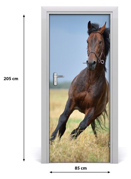Samolepiace fototapety na dvere Kôň na poli 85x205 cm
