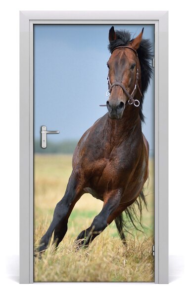 Samolepiace fototapety na dvere Kôň na poli 95x205 cm
