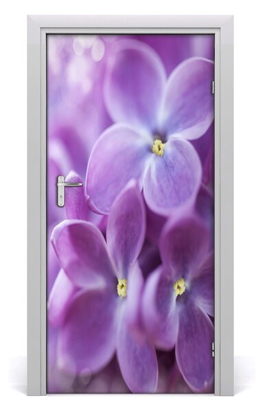 Fototapeta samolepiace kvety bazy 95x205 cm