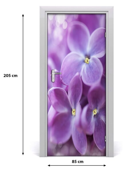 Fototapeta samolepiace kvety bazy 85x205 cm