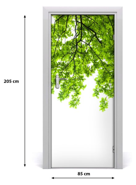 Fototapeta samolepiace koruna stromu 85x205 cm