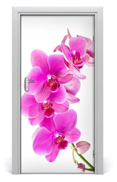 Fototapeta samolepiace ružová orchidea 95x205 cm