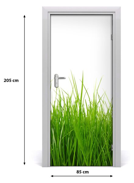 Fototapeta samolepiace zelená tráva 85x205 cm
