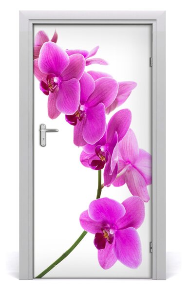 Fototapeta samolepiace ružová orchidea 95x205 cm