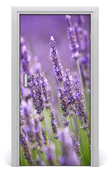 Fototapeta samolepiace poľa levanduľa 95x205 cm