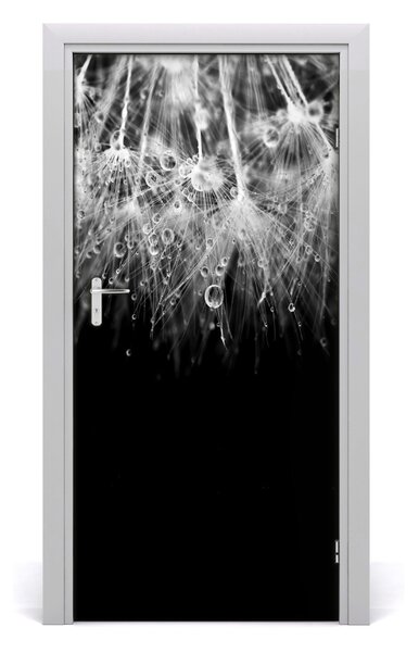 Fototapeta samolepiace semená púpavy 95x205 cm
