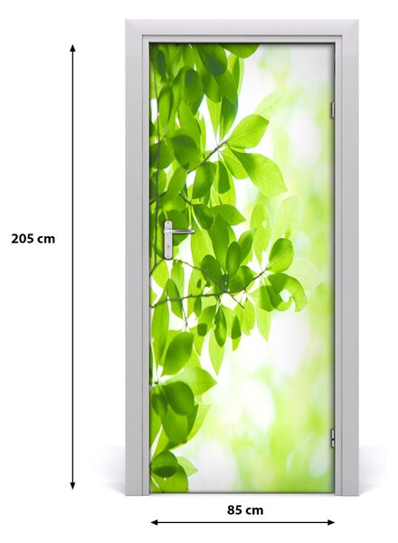 Fototapeta samolepiace zelené lístie 85x205 cm