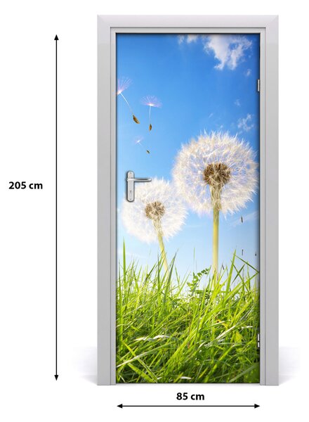 Fototapeta samolepiace Púpavy na lúke 85x205 cm