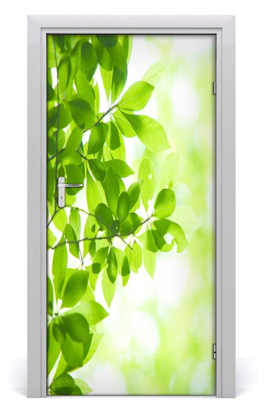 Fototapeta samolepiace zelené lístie 95x205 cm