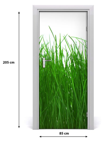 Fototapeta samolepiace tráva 85x205 cm
