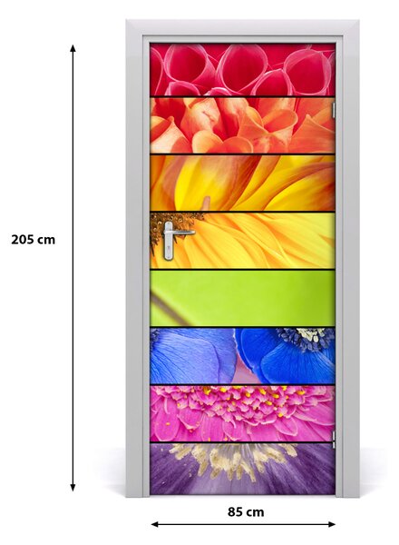 Fototapeta samolepiace farebné kvety 85x205 cm