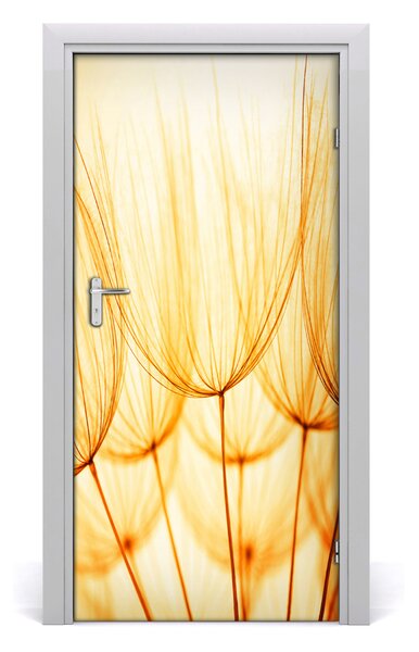 Fototapeta samolepiace semená púpavy 95x205 cm