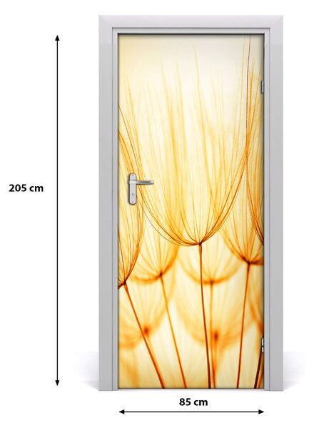 Fototapeta samolepiace semená púpavy 85x205 cm