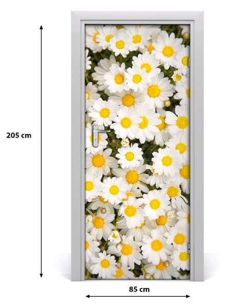 Fototapeta samolepiace kvety sedmokrásky 85x205 cm
