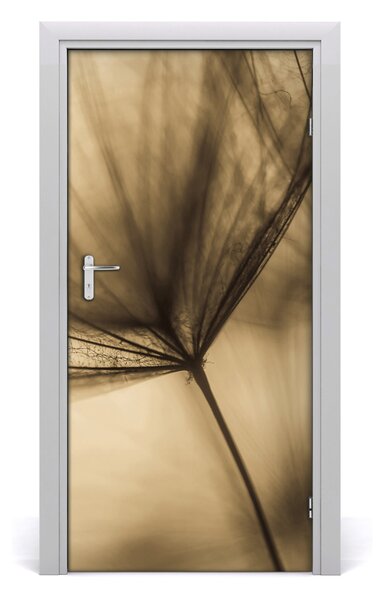 Fototapeta samolepiace semená púpavy 95x205 cm