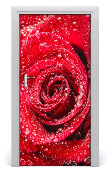 Fototapeta samolepiace červená ruža 95x205 cm