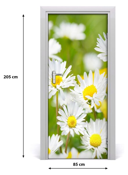 Fototapeta samolepiace sedmokrásky 85x205 cm