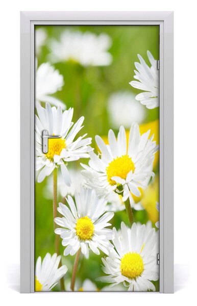 Fototapeta samolepiace sedmokrásky 95x205 cm