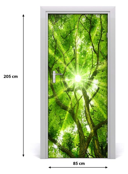 Fototapeta samolepiace koruna stromov 85x205 cm