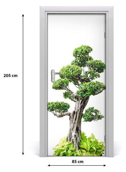 Fototapeta samolepiace bonsai 85x205 cm