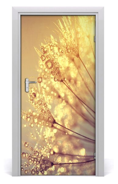 Fototapeta samolepiace semená púpavy 95x205 cm
