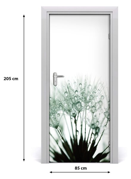 Fototapeta samolepiace semená púpavy 85x205 cm