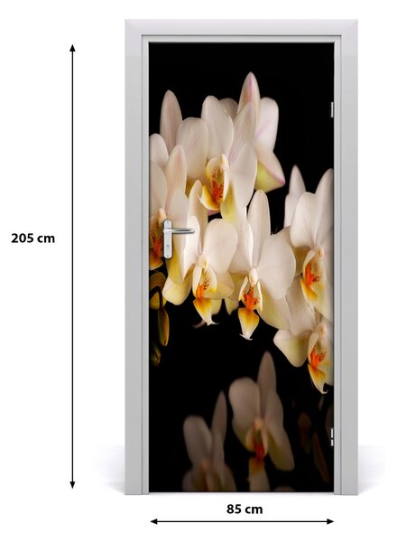 Fototapeta samolepiace orchidea 85x205 cm
