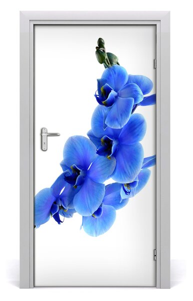 Fototapeta samolepiace modrá orchideami 95x205 cm