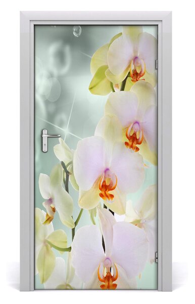 Fototapeta samolepiace orchidea 95x205 cm