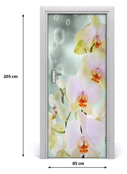 Fototapeta samolepiace orchidea 85x205 cm