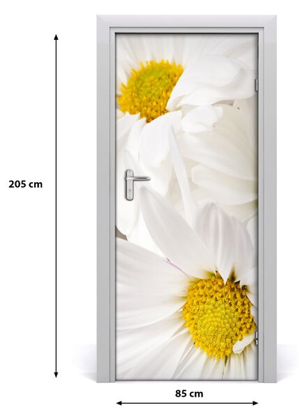Fototapeta samolepiace sedmokrásky 85x205 cm