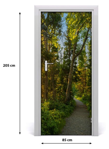 Fototapeta na dvere chodník v lese 85x205 cm