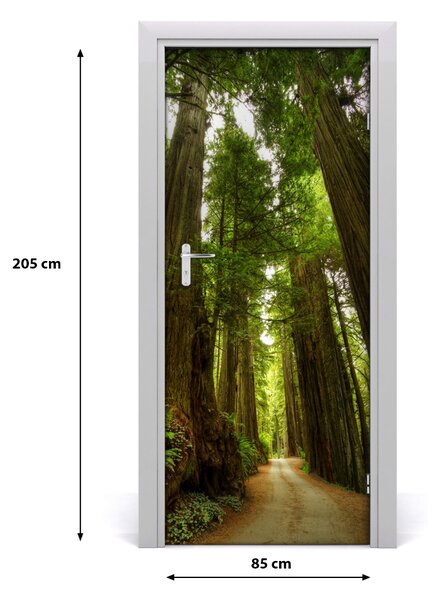 Fototapeta na dvere chodník v lese 85x205 cm