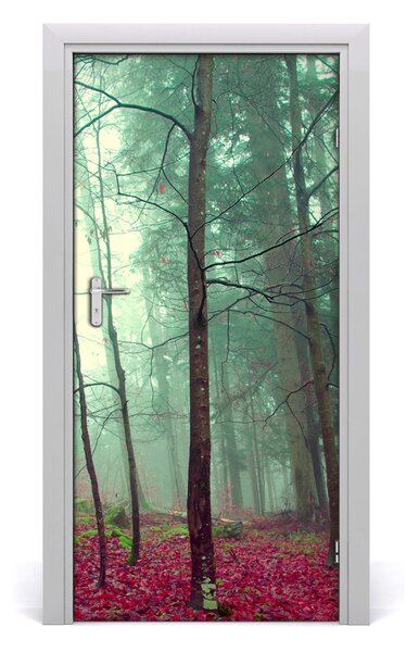 Fototapeta na dvere les jeseň 95x205 cm