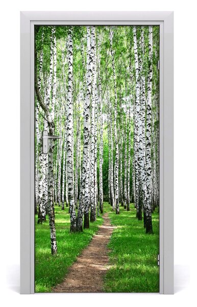 Fototapeta na dvere Břízová les 95x205 cm