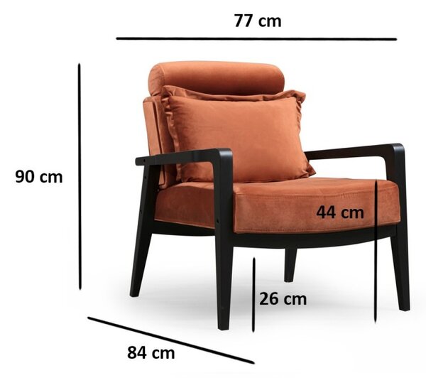 Hanah Home Kreslo Apollo z masívu škoricové/čierne