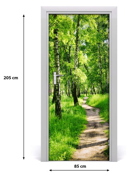 Fototapeta na dvere Břízová les 85x205 cm