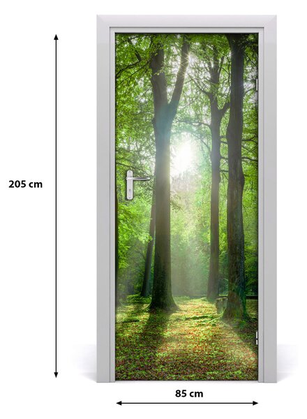 Fototapeta na dvere slnka v lese 85x205 cm