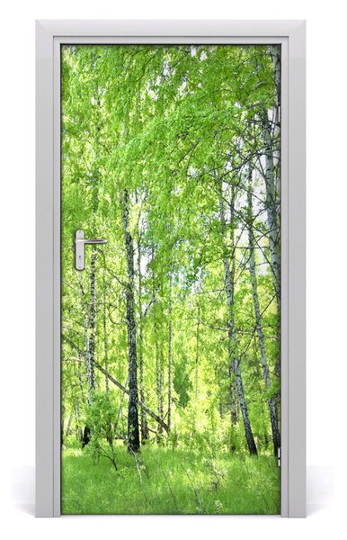 Fototapeta na dvere Břízová les 95x205 cm