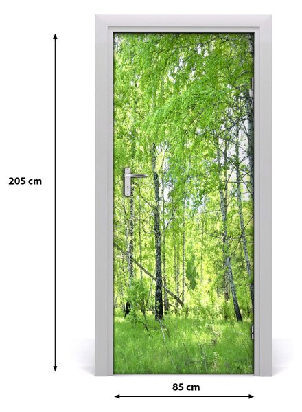Fototapeta na dvere Břízová les 85x205 cm